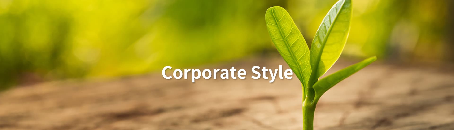 Corporate Style